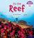 Essential letters and sounds: essential phonic readers: oxford reading level 3: on the reef