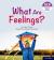 Essential letters and sounds: essential phonic readers: oxford reading level 5: what are feelings?