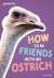 Readerful rise: oxford reading level 7: how to be friends with an ostrich