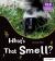 Essential letters and sounds: essential phonic readers: oxford reading level 5: what's that smell?