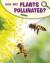 How are plants pollinated?