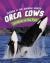 Orca cows