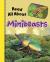 Read all about minibeasts