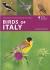 Birds of italy