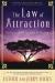 The law of attraction : the basics of the teachings of Abraham