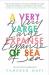 A very large expanse of sea