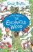 Magic faraway tree: the enchanted wood