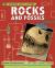 Science skills sorted!: rocks and fossils