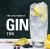 Little book of gin tips