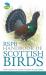 Rspb handbook of scottish birds