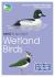 Rspb id spotlight - wetland birds