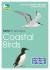 Rspb id spotlight - coastal birds