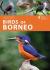 Birds of borneo