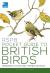 Rspb pocket guide to british birds