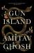 Gun island