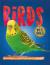 Pet pals: birds