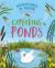 Adventures in nature: exploring ponds