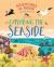 Adventures in nature: exploring the seaside