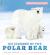 Protecting the planet: ice journey of the polar bear