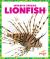 Lionfish