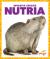 Nutria