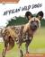 African Wild Dogs