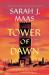 Tower of dawn