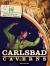 Natural Laboratories: Scientists in National Parks Carlsbad Caverns