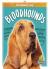 Bloodhounds