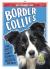 Border Collies