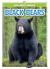 Black Bears