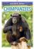 Chimpanzees