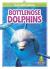 Bottlenose Dolphins