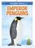 Emperor Penguins