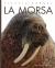 La Morsa