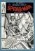 Gil Kane's the Amazing Spider-Man Artisan Edition