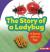 The Story of a Ladybug