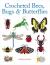 Crocheted bees, bugs & butterflies
