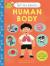 Tell me about: the human body