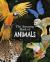 Amazing book of animals