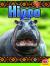 Hippo