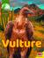 Vulture