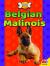 Belgian Malinois