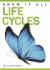 Life cycles