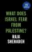 What does israel fear from palestine?