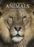 Encyclopedia of animals