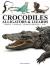 Crocodiles, alligators & lizards