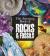 Amazing book of rocks and fossils