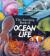 Amazing book of ocean life