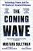 The coming wave : ai, power and the twenty-first century's greatest dilemma